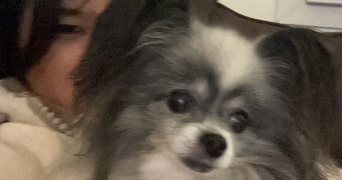 luna pet sitter à NANCY 54000_0