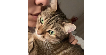 hind pet sitter à MARSEILLE 15 13015_3