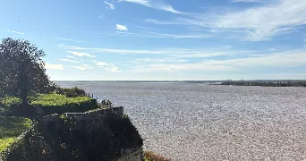 vignale dog sitter à CAEN 14000