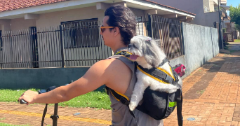 igor felipe pet sitter à MASSY 91300_2
