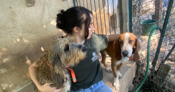 anaël pet sitter à ARACHES LA FRASSE 74300_1