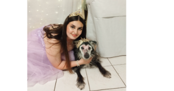 elfie pet sitter à CESSON 77240_1