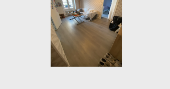 marie cat sitter à PARIS 18 75018_5