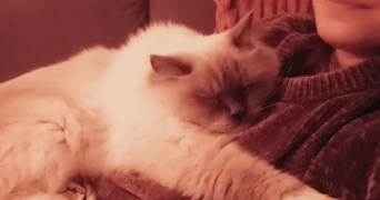 Célia pet sitter à PARIS 75011_2
