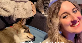 stacy pet sitter à LE BRIGNON 43370