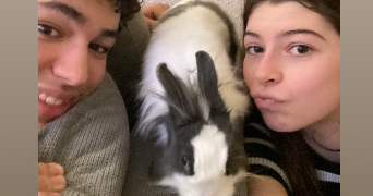 luna pet sitter à TOULOUSE 31400_1
