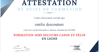 emilie pet sitter à VALENTON 94460_4