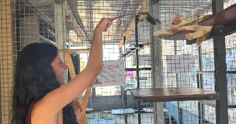tessa pet sitter à MAUGUIO 34130