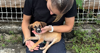 yvanna pet sitter à ORLEANS 45000_5