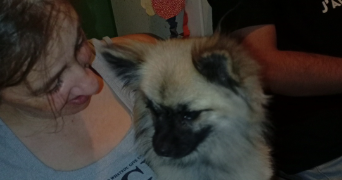 sandrine pet sitter à BESANCON 25000_1