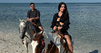 anouk pet sitter à COURBEVOIE 92400_1