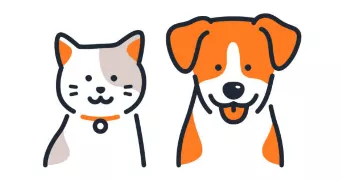 mathis pet sitter à AMIENS 80000