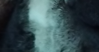 aurelie pet sitter à SEVREMOINE 49450_0