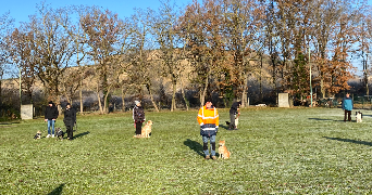 marielle dog sitter à WITTENHEIM 68270_8