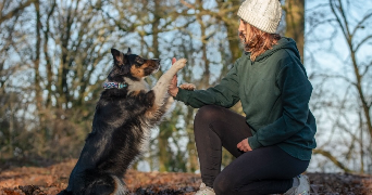 ingrid pet sitter à CLAIX 16440_1