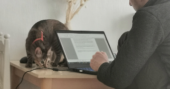 manon pet sitter à PONT ST MARTIN 44860_0