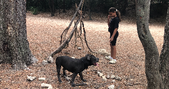 leila pet sitter à MARSEILLE 08 13008_2