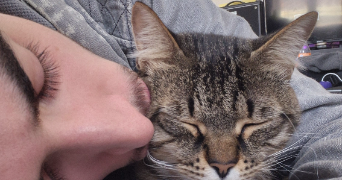 galaad pet sitter à MARSEILLE 03 13003_0