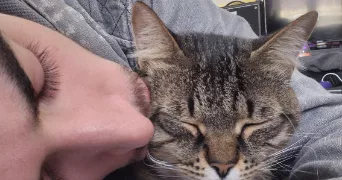 galaad pet sitter à MARSEILLE 03 13003