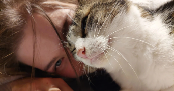 chloé pet sitter à LYON 03 69003_5