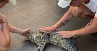océane pet sitter à BRON 69500_6