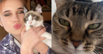 chloe pet sitter à EPINAY SUR SEINE 93800_3