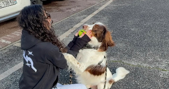 sarah pet sitter à TOULOUSE 31400_1