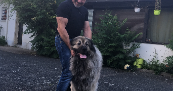 jean pet sitter à PARIS 05 75005_0