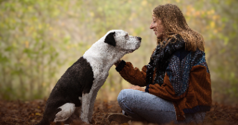 célia pet sitter à CALAIS 62100_0