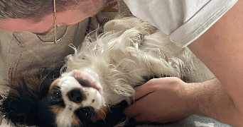 louise pet sitter à COURBEVOIE 92400_1