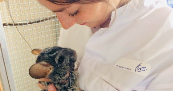 charlotte pet sitter à ANTIBES 06600_3