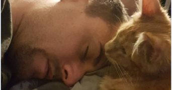 antoine pet sitter à PALAU DEL VIDRE 66690_2