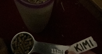 aya pet sitter à ILLKIRCH GRAFFENSTADEN 67400_5