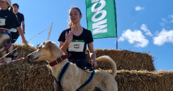 ariane pet sitter à HOUILLES 78800_2