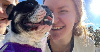 laurina pet sitter à TOULOUSE 31100_2