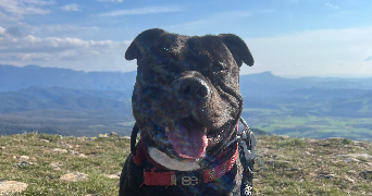 lou-ann pet sitter à Villeurbanne 69100_1