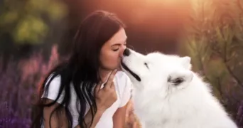 camille pet sitter à VERNEUIL SUR SEINE 78480