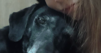 clara pet sitter à AMIENS 80000_6