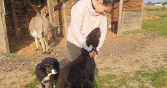 alizé dog sitter à EVREUX 27000_3