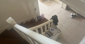dyala pet sitter à CLAMART 92140_7