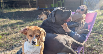 vincent pet sitter à CAMPAGNAN 34230_1