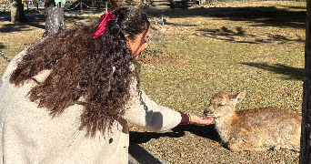 jila pet sitter à MORSCHWILLER LE BAS 68790_3