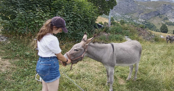 ariane pet sitter à HOUILLES 78800_1