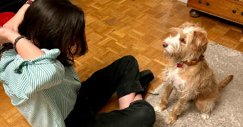 sabine pet sitter à TOURS 37000_2