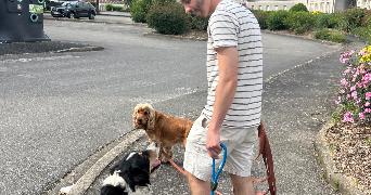 nathan pet sitter à FONTENAY LE COMTE 85200_9