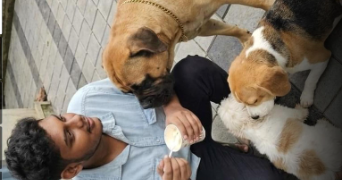 ananthu pet sitter à MONTPELLIER 34000_0