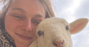 léa pet sitter à  65240