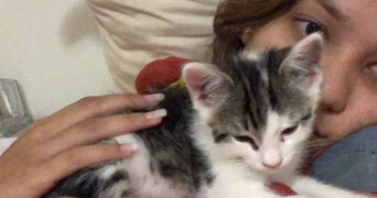 maelis pet sitter à PARIS 15 75015_5