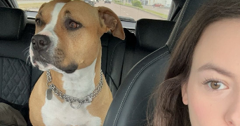 julie pet sitter à LYON 03 69003_3