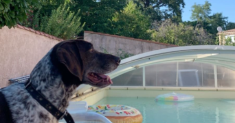 clélia pet sitter à AIX EN PROVENCE 13100_1